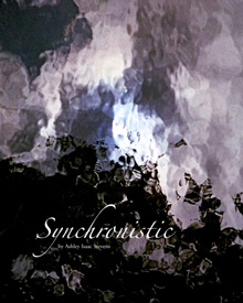 Synchronistic: The Book  front cover